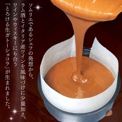 茨城県筑西市のふるさと納税 スイーツコンテスト 日本一 シェフ の「 とろける 生 ガトーショコラ 」 5号 手作り ケーキ チョコ チョコレート ショコラ 誕生日 バースデーケーキ 誕生日ケーキ クリスマス クリスマスケーキ [CF016ci]