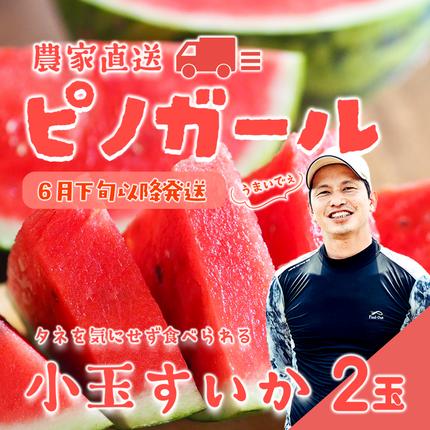 【 先行予約 2026年6月下旬以降発送 