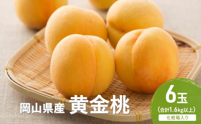 岡山県玉野市のふるさと納税 桃 2026年 先行予約 黄金桃 6玉(1.6kg以上) 化粧箱入り もも モモ 岡山県産 国産 フルーツ 果物 セット ギフト