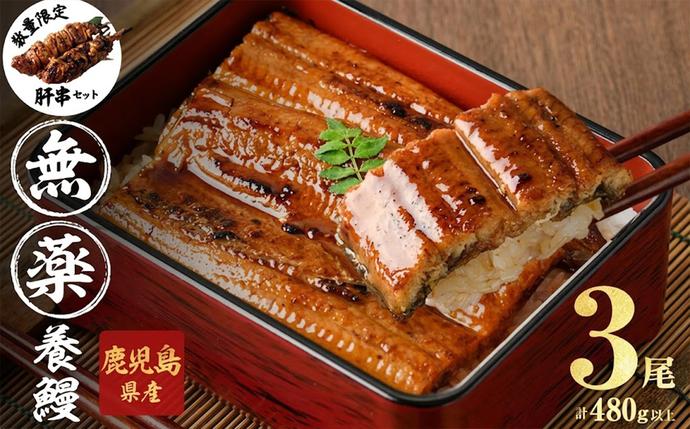 【無薬養鰻】 鹿児島産 山田のうなぎ ＜計