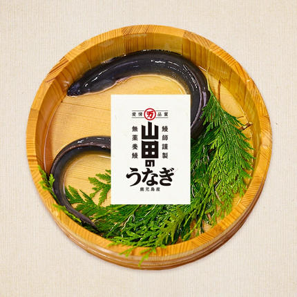 鹿児島県志布志市のふるさと納税 【無薬養鰻】 鹿児島産 山田のうなぎ ＜計480g以上＞（160g以上×3尾） 肝串セット 【ポータル限定】 a6-062-km