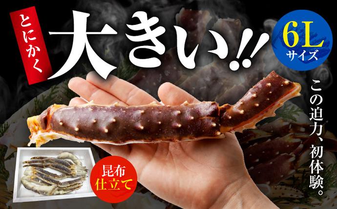 大阪府泉佐野市のふるさと納税 生タラバガニ 2kg 特大 6Lサイズ【昆布仕立て 化粧箱入り 贈答 ギフト カニ かに 蟹 たらば蟹 タラバ蟹 タラバカニ 海鮮 魚介 家計応援】 kgp0061
