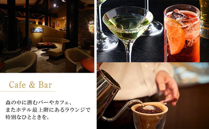 新富良野プリンスホテル 宿泊券 スタンダードツインルーム (ホテル