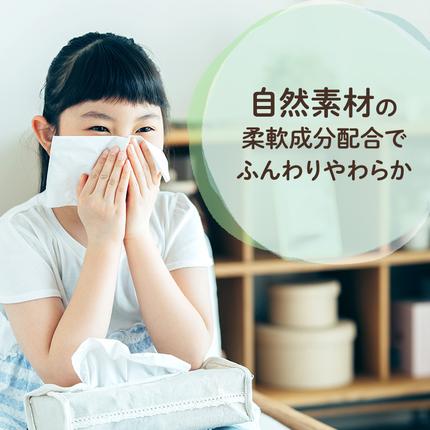 北海道赤平市のふるさと納税 【2ヵ月連続お届け・計100箱】エリエール 北海道 ティシュー なまらたっぷり 300組5箱 10パック 大容量 まとめ買い 防災 常備品 備蓄品 消耗品 日用品 生活必需品 赤平市