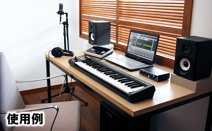 Roland】MIDI キーボード コントローラー A-49-BK【配送不可：離島