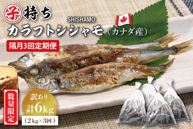 定期便】 子持ち カラフトシシャモ 2kg (500g×4袋) 訳アリ シシャモ