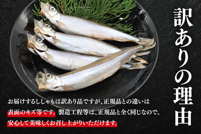 定期便】 子持ち カラフトシシャモ 2kg (500g×4袋) 訳アリ シシャモ