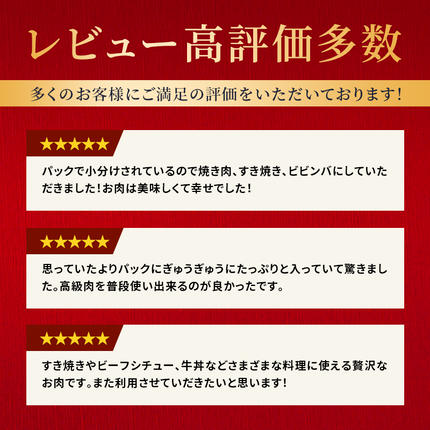 兵庫県加西市のふるさと納税 神戸牛 切落とし 250g×2P 計500g 神戸牛スライス 牛肉 肉 小分け