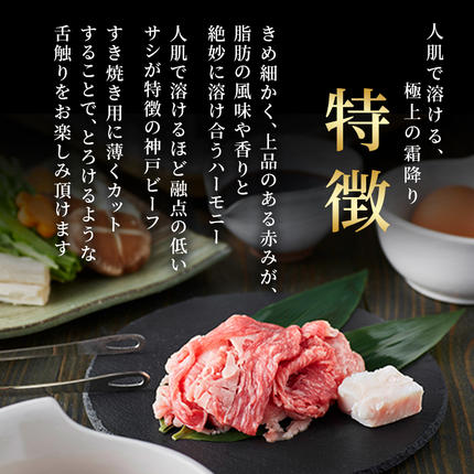 兵庫県加西市のふるさと納税 神戸牛 切落とし 250g×2P 計500g 神戸牛スライス 牛肉 肉 小分け