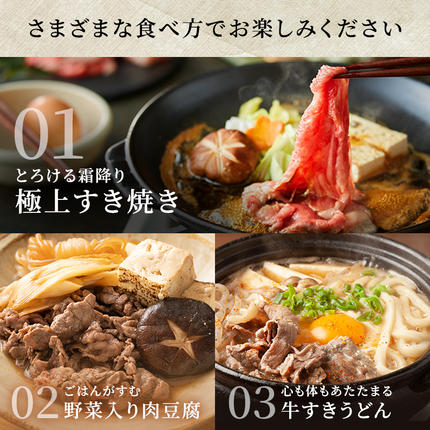 兵庫県加西市のふるさと納税 神戸牛 切落とし 250g×2P 計500g 神戸牛スライス 牛肉 肉 小分け