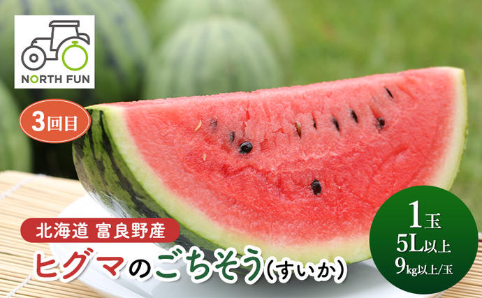 北海道富良野市のふるさと納税 【2026年夏から全3回】北海道富良野市の新鮮で甘い！！とうもろこし・メロン・スイカを味わい尽くす！NORTH FUN が贈る感動定期便