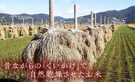 山形県南陽市のふるさと納税 【わら屋のお米】 令和7年産 特別栽培米 ひとめぼれ 5kg 『おがわ藁農園』 米 白米 精米 ご飯 農家直送 山形県 南陽市 [2070]