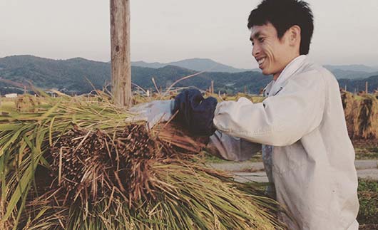 山形県南陽市のふるさと納税 【わら屋のお米】 令和7年産 特別栽培米 ひとめぼれ 5kg 『おがわ藁農園』 米 白米 精米 ご飯 農家直送 山形県 南陽市 [2070]