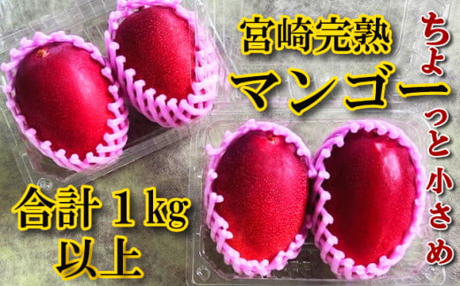 平均糖度15度以上!たっぷり1kg以上!宮崎完熟マンゴーご家庭用小さめ M・Lサイズ2玉入り×2パック(1,000g〜1,200g) マンゴー フルーツ 果物 完熟マンゴー 宮崎マンゴー 訳アリ 規格外 訳ありマンゴー 国産 産地直送 