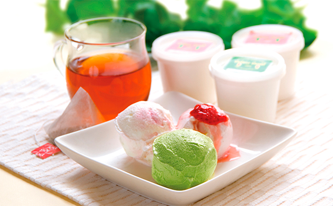 静岡県袋井市のふるさと納税 季節のジェラートアイスセット 人気 厳選 ギフト 贈り物 デザート グルメ おやつ スイーツ 袋井市 お菓子