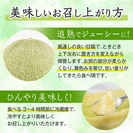 茨城県八千代町のふるさと納税 【 先行予約 2026年6月上旬以降発送】 令和8年産 八千代町産 タカミメロン 秀品 3玉 約5kg 期間限定 産地直送 果物 フルーツ メロン 甘い 人気 タカミ 貴味 [AX040ya]