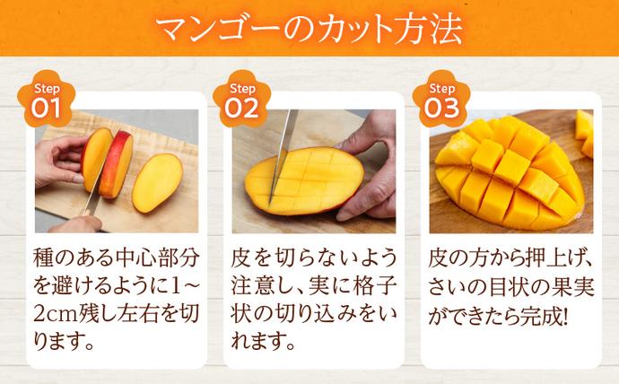 宮崎県日南市のふるさと納税 リピーター続出!!宮崎県産 完熟 マンゴー 2L以上×2玉 令和8年発送分 数量限定 フルーツ 果物 果汁 希少 濃厚 ジューシー 贅沢 上質 ご褒美 人気 国産 食品 おやつ デザート 産地直送 おすすめ ギフト プレゼント 贈り物 お土産 手土産 南国 日南市 送料無料_C123-24
