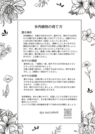 奈良県葛城市のふるさと納税 多肉植物 木箱寄せ植え ／ aju succulent 植物 インテリア アレンジ ガーデニング 15種 そのまま飾れる プレゼント ギフト 奈良県 葛城市