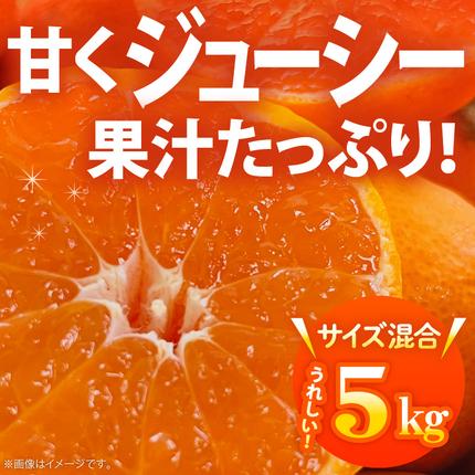 和歌山県湯浅町のふるさと納税 AB7301_ 【2026年先行予約】ご家庭用 田村みかん サイズ混合(2S～２L)  約5kg _  わけあり 訳あり 和歌山プレミアムブランドみかん 小玉 中玉 大玉 蜜柑 ミカン フルーツ 果物