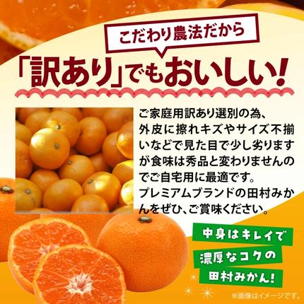 和歌山県湯浅町のふるさと納税 AB7301_ 【2026年先行予約】ご家庭用 田村みかん サイズ混合(2S～２L)  約5kg _  わけあり 訳あり 和歌山プレミアムブランドみかん 小玉 中玉 大玉 蜜柑 ミカン フルーツ 果物