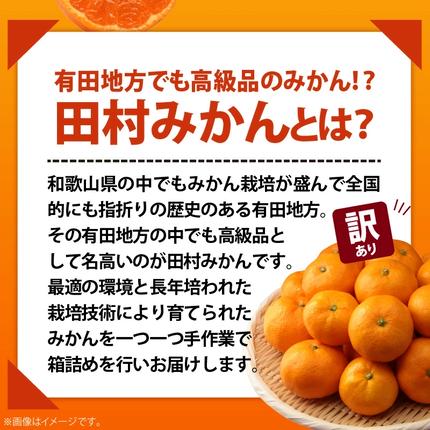 和歌山県湯浅町のふるさと納税 AB7301_ 【2026年先行予約】ご家庭用 田村みかん サイズ混合(2S～２L)  約5kg _  わけあり 訳あり 和歌山プレミアムブランドみかん 小玉 中玉 大玉 蜜柑 ミカン フルーツ 果物