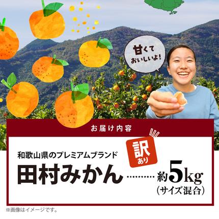 和歌山県湯浅町のふるさと納税 AB7301_ 【2026年先行予約】ご家庭用 田村みかん サイズ混合(2S～２L)  約5kg _  わけあり 訳あり 和歌山プレミアムブランドみかん 小玉 中玉 大玉 蜜柑 ミカン フルーツ 果物