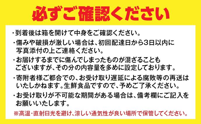 宮崎県日南市のふるさと納税 先行予約 不知火 計4kg以上 傷み補償分入り 期間限定 数量限定 フルーツ 果物 くだもの 柑橘 みかん しらぬい 令和8年発送 おやつ デザート ジュース 国産 食品 おすすめ ご褒美 産地直送 プレゼント ギフト 贈り物 ネイバーフッド 宮崎県 日南市 送料無料_AAV11-25