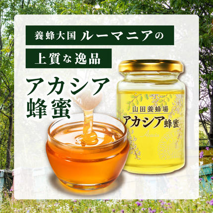 岡山県鏡野町のふるさと納税 山田養蜂場ルーマニア産アカシア蜂蜜200g（ビン入り）×3個（64301）【006-a039】
