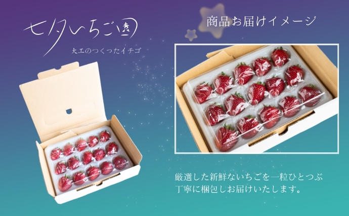 滋賀県米原市のふるさと納税 希少品種黒色 いちご「真紅の美鈴（しんくのみすず）」黒いちご 本州限定 苺 イチゴ 果物 フルーツ