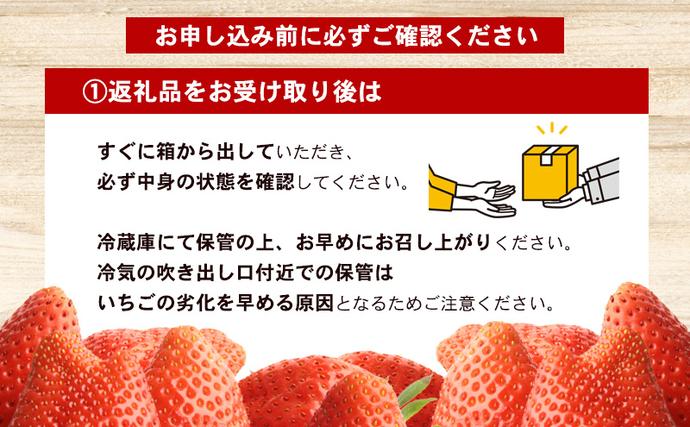 滋賀県米原市のふるさと納税 希少品種黒色 いちご「真紅の美鈴（しんくのみすず）」黒いちご 本州限定 苺 イチゴ 果物 フルーツ