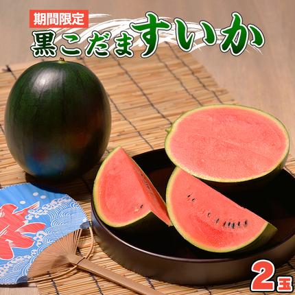 黒こだま すいか 2玉 《2026年7月上