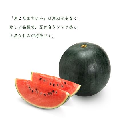茨城県桜川市のふるさと納税 黒こだま すいか 2玉 《2026年7月上旬から発送開始》 スイカ すいか 西瓜 黒こだま おやつ 夏[BQ014sa]