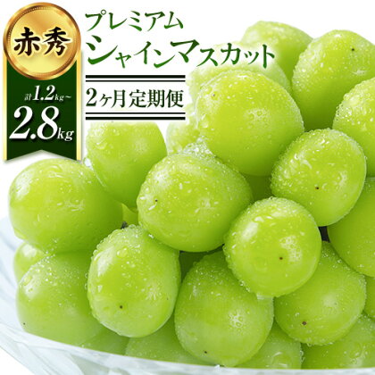 [2026年先行予約]ぶどう プレミアム シャインマスカット定期便 9月 10月発送 船穂 赤秀品 晴王 選べる内容量[2026年9月中旬-10月末頃より出荷予定(土日祝除く)]晴レ乃青果 (岡山中央卸売市場店(富士紙工 有限会社)) マスカット 岡山県 浅口市 フルーツ 果物 [配送不可地域あり]