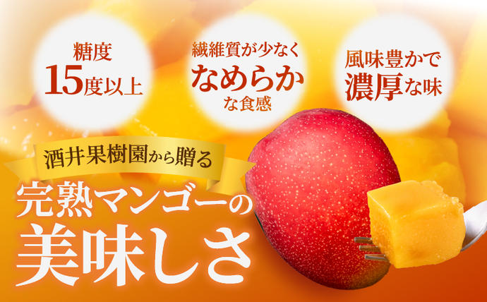 宮崎県日南市のふるさと納税 ≪ 先行予約 ≫ 糖度15度以上!! 数量限定 南国宮崎 完熟マンゴー 2L 2玉 期間限定 フルーツ スイーツ 果物 くだもの 食品 デザート 国産 産地直送 人気 おすすめ おやつ 高級 ご褒美 贅沢 贈り物 ギフト プレゼント 贈答 なめらか 宮崎県 日南市 送料無料_BD73-23