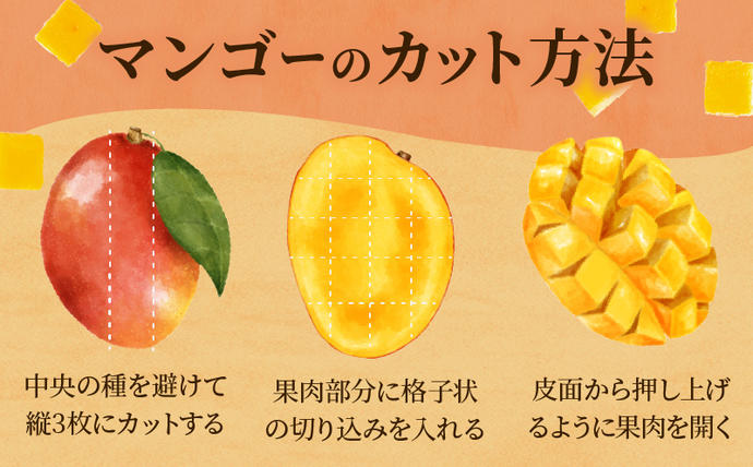 宮崎県日南市のふるさと納税 ≪ 先行予約 ≫ 糖度15度以上!! 数量限定 南国宮崎 完熟マンゴー 2L 2玉 期間限定 フルーツ スイーツ 果物 くだもの 食品 デザート 国産 産地直送 人気 おすすめ おやつ 高級 ご褒美 贅沢 贈り物 ギフト プレゼント 贈答 なめらか 宮崎県 日南市 送料無料_BD73-23