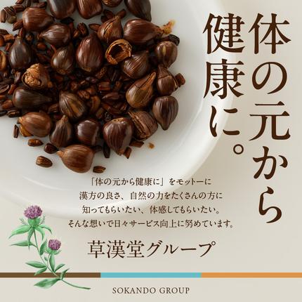 愛知県小牧市のふるさと納税 草漢堂の和漢紅茶（4包入り）［103S03］