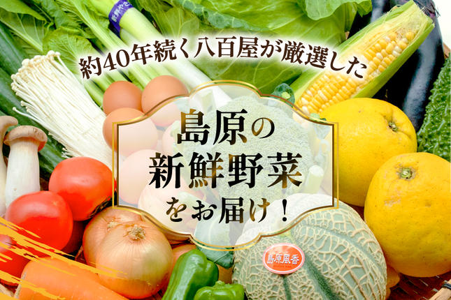 長崎県島原市のふるさと納税 BF058 【6回定期便】旬の野菜・フルーツ (12〜14品目)・卵 (6個) おまかせ セット【 野菜 果物 卵 やさい くだもの 果物 タマゴ たまご 詰め合わせ 江戸屋 長崎県 島原市 】
