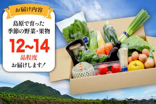 長崎県島原市のふるさと納税 BF058 【6回定期便】旬の野菜・フルーツ (12〜14品目)・卵 (6個) おまかせ セット【 野菜 果物 卵 やさい くだもの 果物 タマゴ たまご 詰め合わせ 江戸屋 長崎県 島原市 】