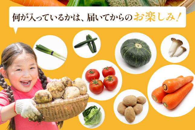 BF059 【12回定期便】旬の野菜・フルーツ (12～14品目)・卵 (6個