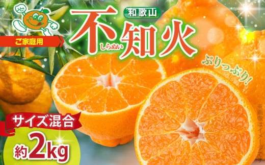 和歌山県湯浅町のふるさと納税 ZJ6071_不知火(しらぬい) オレンジ みかん 2kg 訳あり ご家庭用 サイズ混合
