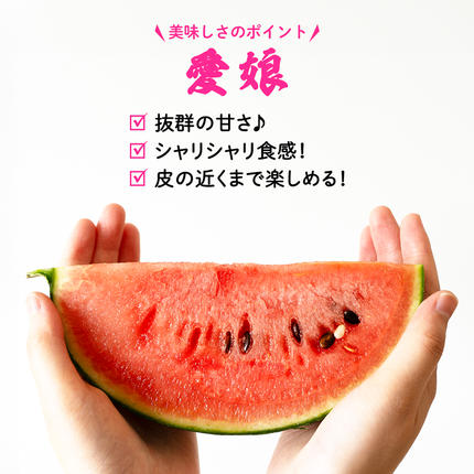 茨城県筑西市のふるさと納税 【 訳あり 】 こだますいか 「 愛娘 」 1玉 2026年産 先行予約 筑西ブランド こだまスイカ 小玉スイカ すいか スイカ フルーツ 果物 [AF083ci]