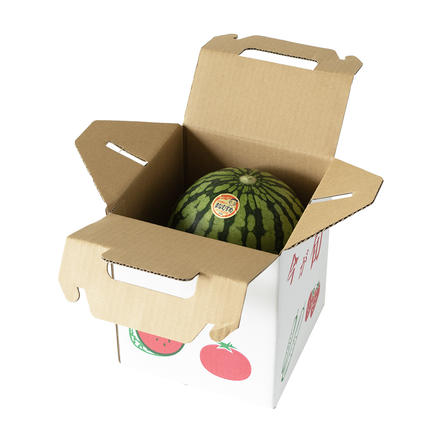 茨城県筑西市のふるさと納税 【 訳あり 】 こだますいか 「 愛娘 」 1玉 2026年産 先行予約 筑西ブランド こだまスイカ 小玉スイカ すいか スイカ フルーツ 果物 [AF083ci]