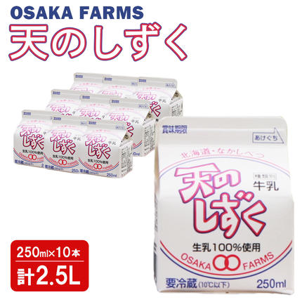天のしずく 250ml × 10本 計 2.5L【5100501】 / 北海道中標津町