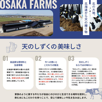 天のしずく 250ml × 10本 計 2.5L【5100501】 / 北海道中標津町