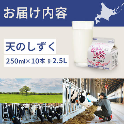 天のしずく 250ml × 10本 計 2.5L【5100501】 / 北海道中標津町