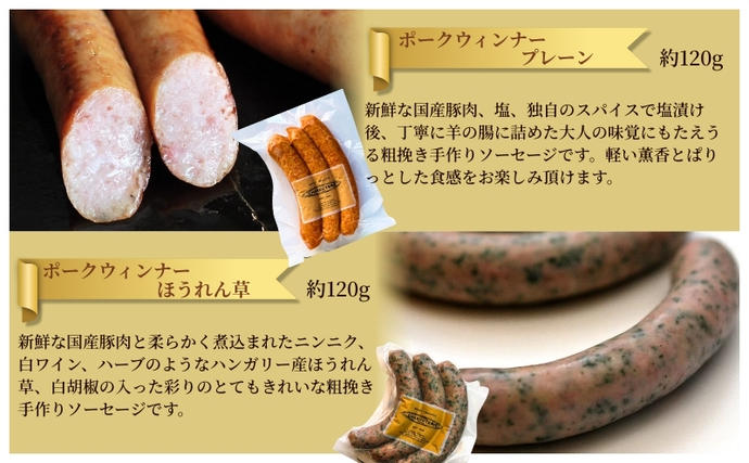 愛知県日進市のふるさと納税 ソーセージ ハム ベーコン 6種 セット 加工肉 ギフト ウインナーウィンナー 国産