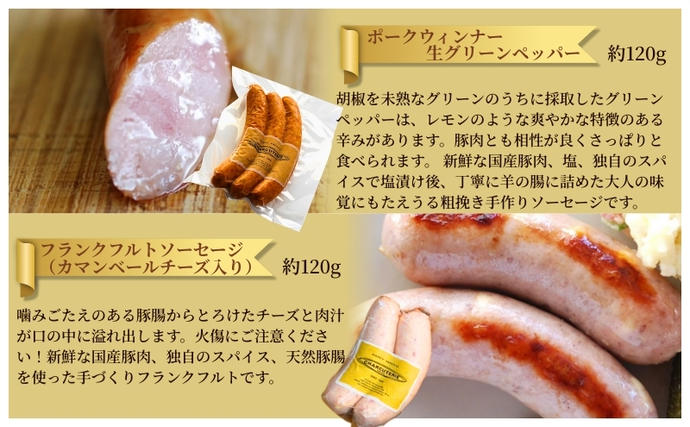 愛知県日進市のふるさと納税 ソーセージ ハム ベーコン 6種 セット 加工肉 ギフト ウインナーウィンナー 国産