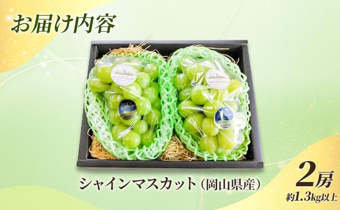 岡山県玉野市のふるさと納税 贈答用 岡山県産 シャインマスカット 2房 約1.3kg以上 ぶどう