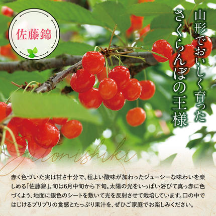 山形県南陽市のふるさと納税 【令和8年産先行予約】 さくらんぼ 「佐藤錦」 540g (180g×3パック 秀 L以上) 《令和8年6月中旬～7月中旬発送》 『フードシステムズ』 サクランボ 果物 山形県 南陽市 [1695]