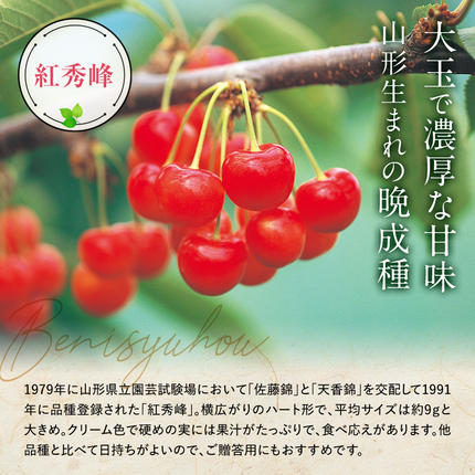 山形県南陽市のふるさと納税 【令和8年産先行予約】 さくらんぼ 「紅秀峰」 540g (180g×3パック 秀 L以上) 《令和8年6月下旬～7月中旬発送》 『フードシステムズ』 サクランボ 果物 山形県 南陽市 [1697]